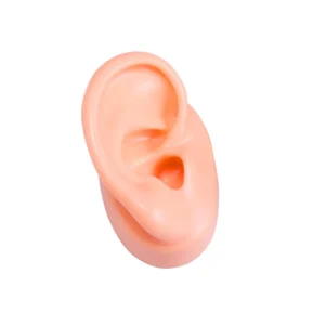 silicone-ear-model-human-artificial-ear-display-for-hearing-aids-iem-earphones-display-and-lecturing