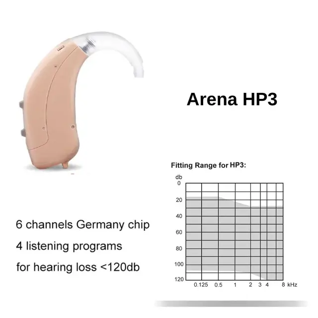 hearing aid