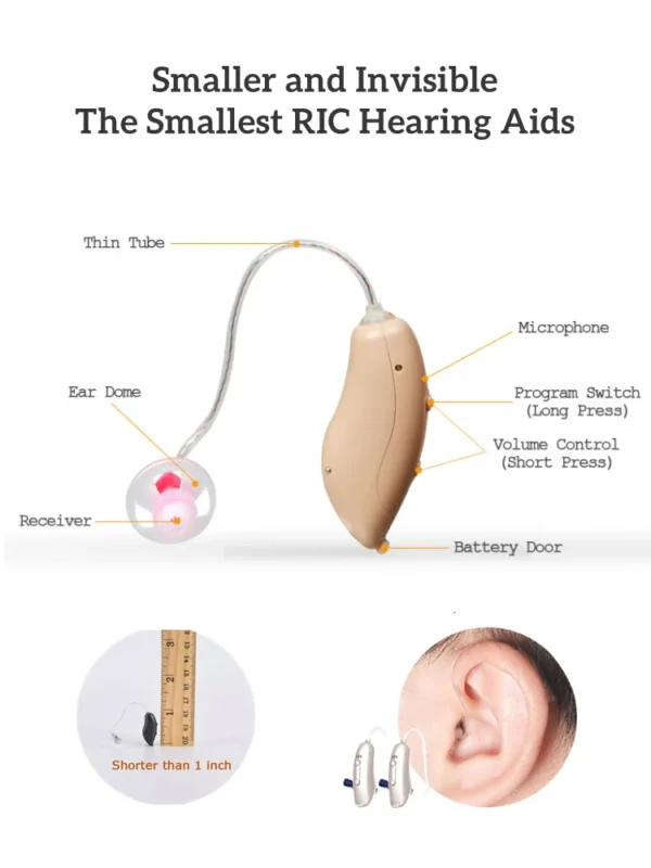 hearing aid